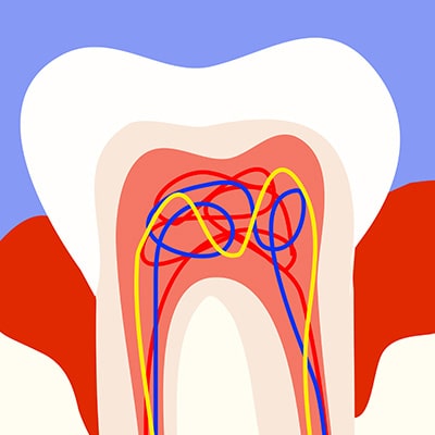 Soins — Les soins conservateurs